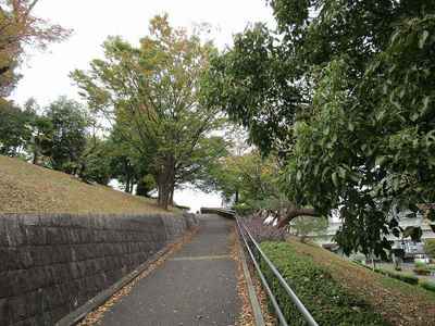 01吾妻山公園 (2).jpg