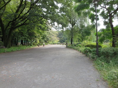 02善福寺公園 (23).JPG