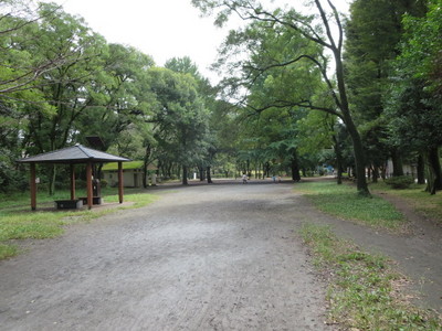 02善福寺公園 (26).JPG