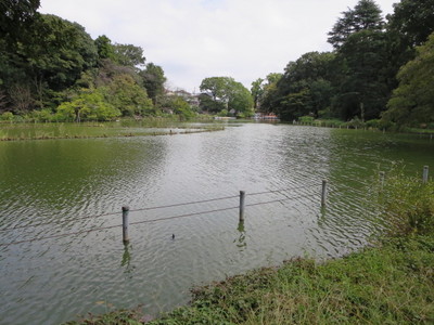 02善福寺公園 (8).JPG