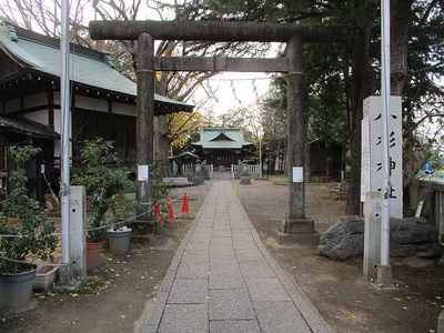 02小杉神社 (1).jpg