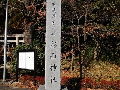 02茅ヶ崎杉山神社 (10).jpg