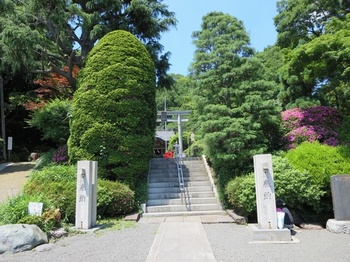 037貫井神社 (1)-2.jpg