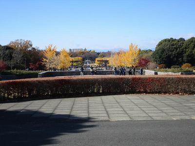 03昭和記念公園 (6).jpg