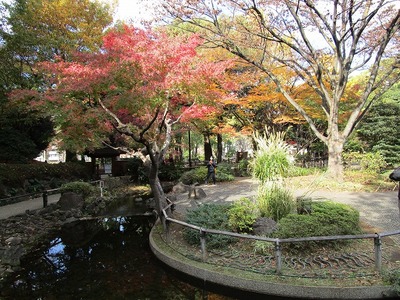 03横浜公園 (12).jpg