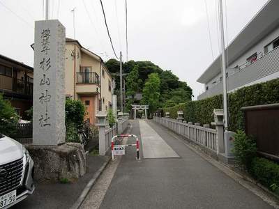 03樽町杉山神社 (12).jpg
