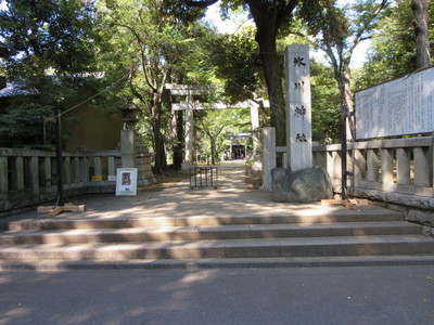 03赤坂氷川神社 (2).JPG