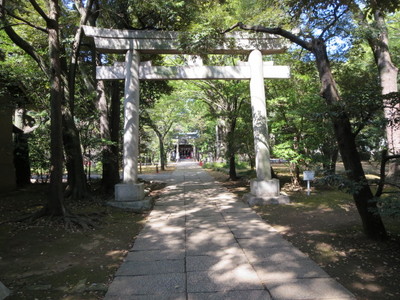 03赤坂氷川神社 (4).JPG