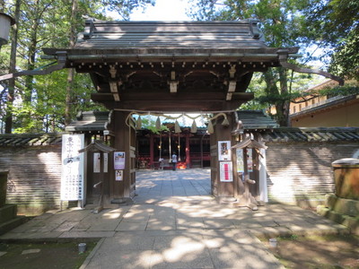 03赤坂氷川神社 (6).JPG