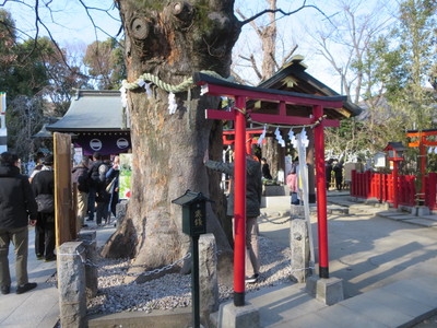 05新田神社 (3).JPG