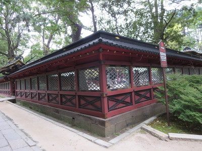 06根津神社 (7).JPG