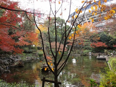 07横浜公園 (7).jpg