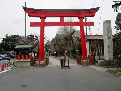 08鷲宮神社 (1).jpg