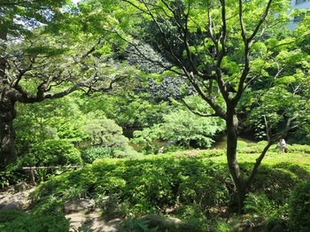096池田山公園 (45)-2.jpg