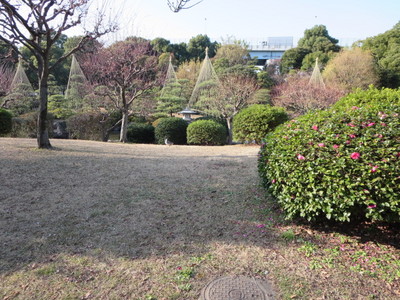 09隅田川公園 (10).JPG