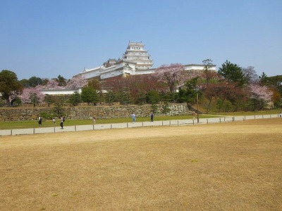 11姫路城 (18).jpg