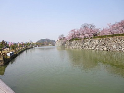 11姫路城 (9).jpg