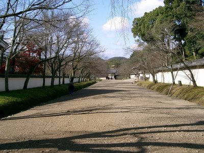 127醍醐寺a.jpg