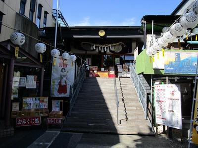 12菊名神社 (3).jpg