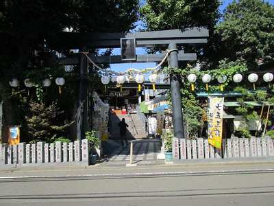 12菊名神社 (6).jpg
