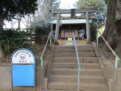 14杉山神社（青砥） (7).jpg
