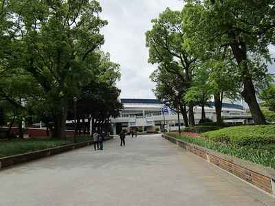19横浜公園 (4).jpg
