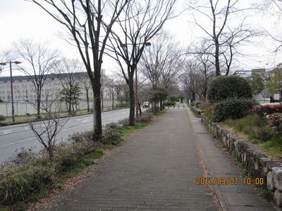 2011-03　唐崎 (7)a.jpg