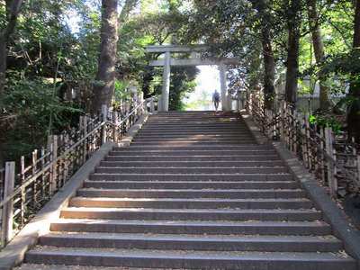 20渋谷氷川神社 (12).jpg