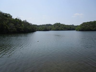 27蟠竜湖 (5).jpg