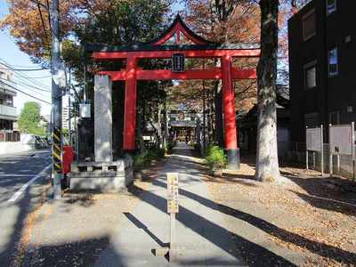 28丸子日枝神社 (1).jpg