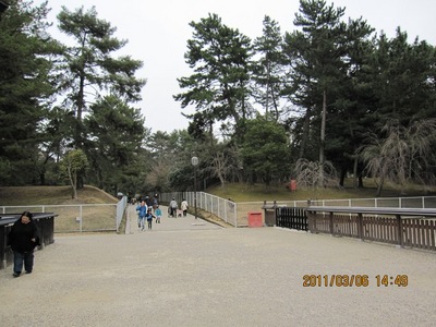 ２０１１年３月奈良・琵琶湖・甲賀 007a.jpg